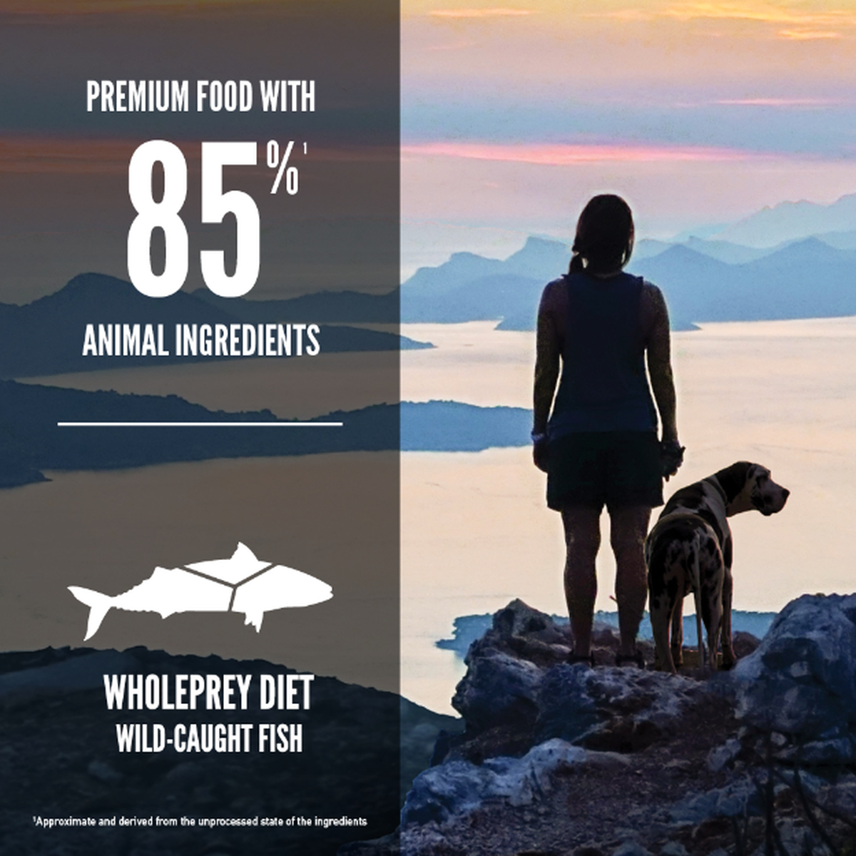 Orijen six fish top dog food review